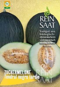 Me095_cukrovy melon_Tendral_negro_tardio